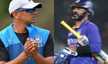 Whether Dinesh Karthik Will Play In T20 World Cup, Coach Rahul Dravid Clarified