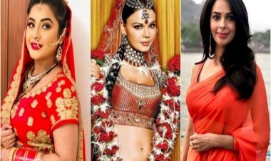 From Mallika Sherawat To Shahnaz Gill, Not Only Mika, These Actresses Also Made Fools In The Name Of 'Swayamvar'