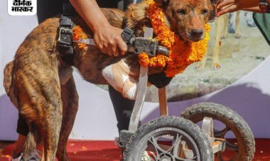 Mana Kukur Tihar in Nepal: Garlanded, thanked dogs for loyalty with Tilak-Aarti