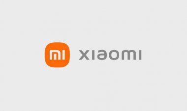 Chinese company Xiaomi financial services business closed
