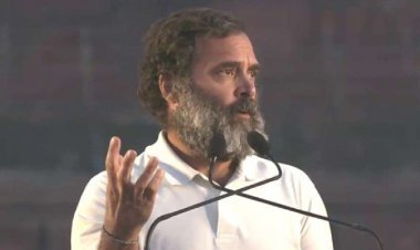 BJP MP asked- Why doesn't Rahul feel cold