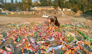 Thousands of chip packets of expiry date thrown on the banks of Govind Sagar lake, CCTV footage will be searched