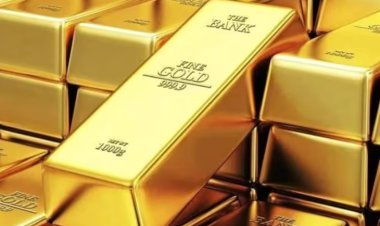 Gold at new record of 56,462, costlier by Rs 1,595 in 13 days