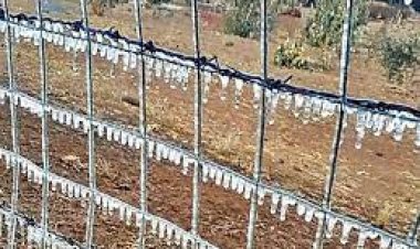 Mercury in 6 cities in Rajasthan reached minus, trains running late by several hours in North India