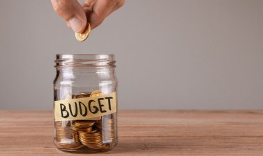 Pension expected to be tax-free in budget: Government may create separate bucket for insurance polic