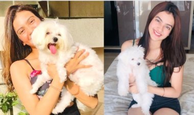 Actress Kashika Kapoor urges people to protect stray animals during Holi celebrations