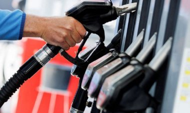 Fuel demand reaches 24-year high: Petrol sales up 8.9% year-on-year, diesel consumption up 7.5%