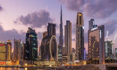 83 thousand Indian companies in Dubai: 11 thousand were registered last year