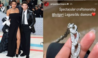 Priyanka Chopra's diamond necklace attracted attention at Met Gala 2023, the actress arrived wearing a necklace worth 204 crores