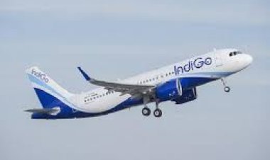 Indigo Shares: Go First Aviation shares rise amid crisis, Indigo reaches 52-week high