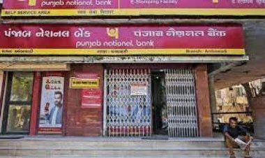 PNB is going to raise funds by selling 15 crore shares, these people will have silver along with bank employees