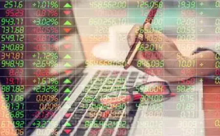 NSE made a profit of 13 percent in the September quarter, this much filled the government's treasury