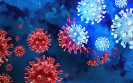 Tension increased due to detection of sub-variant JN.1 of Covid in Kerala, health department alerted; Mock drill ordered in hospitals