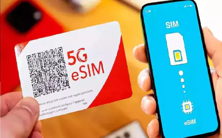 After the government's order, Apple and Google removed these two apps from the store, you should also delete them immediately 