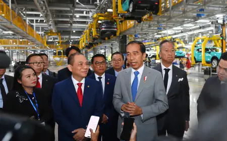 Indonesian President visits Vinfast factory, says conditions are ready for car plant