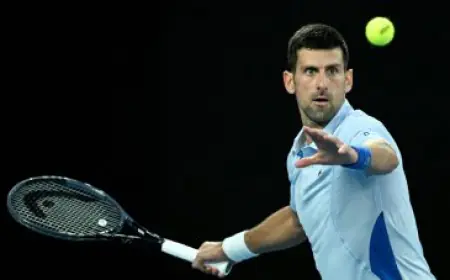 Djokovic made it to the quarterfinals of Australian Open for the 14th time