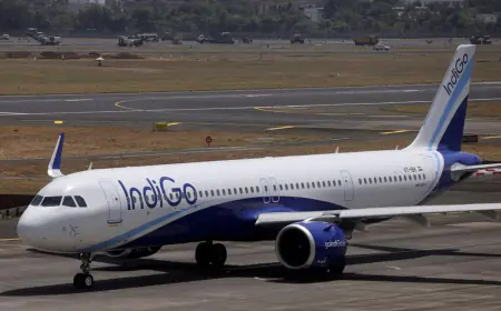'IndiGo will double its services on international and domestic routes', the airline's CEO said this