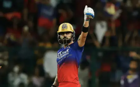 BCCI official's big statement on Virat Kohli playing T20 World Cup, said - Selection is not done based on memes