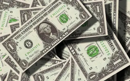 Due to the possibility of terrorist funding, financial institutions and intermediaries will need to report suspicious transactions