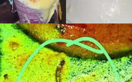 Mumbai, Noida, Bihar- What is happening to the food industry? 