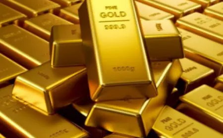Gold and silver imports from UAE increased by 210 percent, GTRI said - there is a need for duty revision in FTA