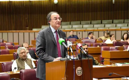 Pakistan President Approves Finance Bill 2024; Government Admits New Taxes in the Budget Cause Tension Among People
