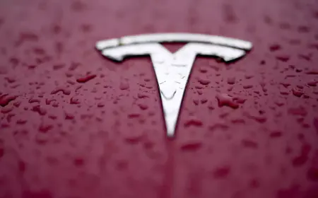 Now the Chinese government will give a huge boost to Tesla, the company's Electric Cars have been included in the purchase list