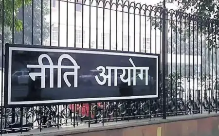 Niti Aayog member spoke on the demand for special state status, practical solution is needed for the problems of the states