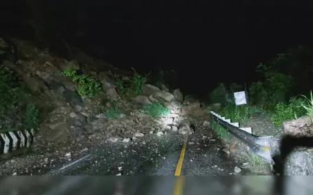 A landslide in Nepal has swept two bses into the Trishuli River, leaving 63 people missing