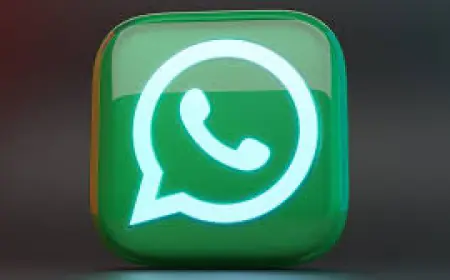 Another new feature is coming in WhatsApp, users will be able to choose the default theme