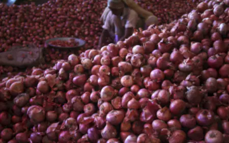 Now the price of onion will not make you cry, the government is going to make strong arrangements