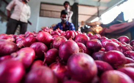 Government worried over rising onion prices, takes special steps to control prices