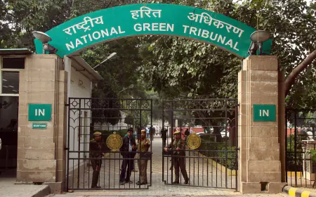 Star rating in vehicles: NGT notice to three central ministries, have to respond by January 10