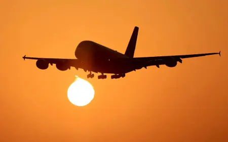 Passenger molested a woman sitting on the adjacent seat in Delhi-Chennai flight; arrested as soon as the plane landed