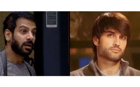 Bigg Boss: Vivian Dsena vs Karanveer Mehra: Vivian 1: Karanveer 0