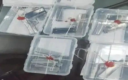 Udaipur Police's arrested 2 accused with 9 illegal pistols and 13 cartridges