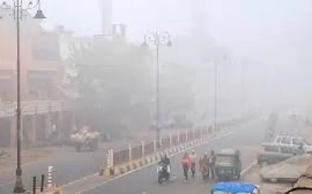 Fog in many districts of UP, cold wave will blow in Delhi-NCR; chances of rain in many states