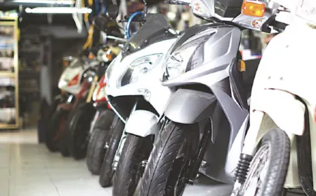 Wholesale sales of vehicles increased by 12% in 2024, two-wheeler sales increased by 14.5%