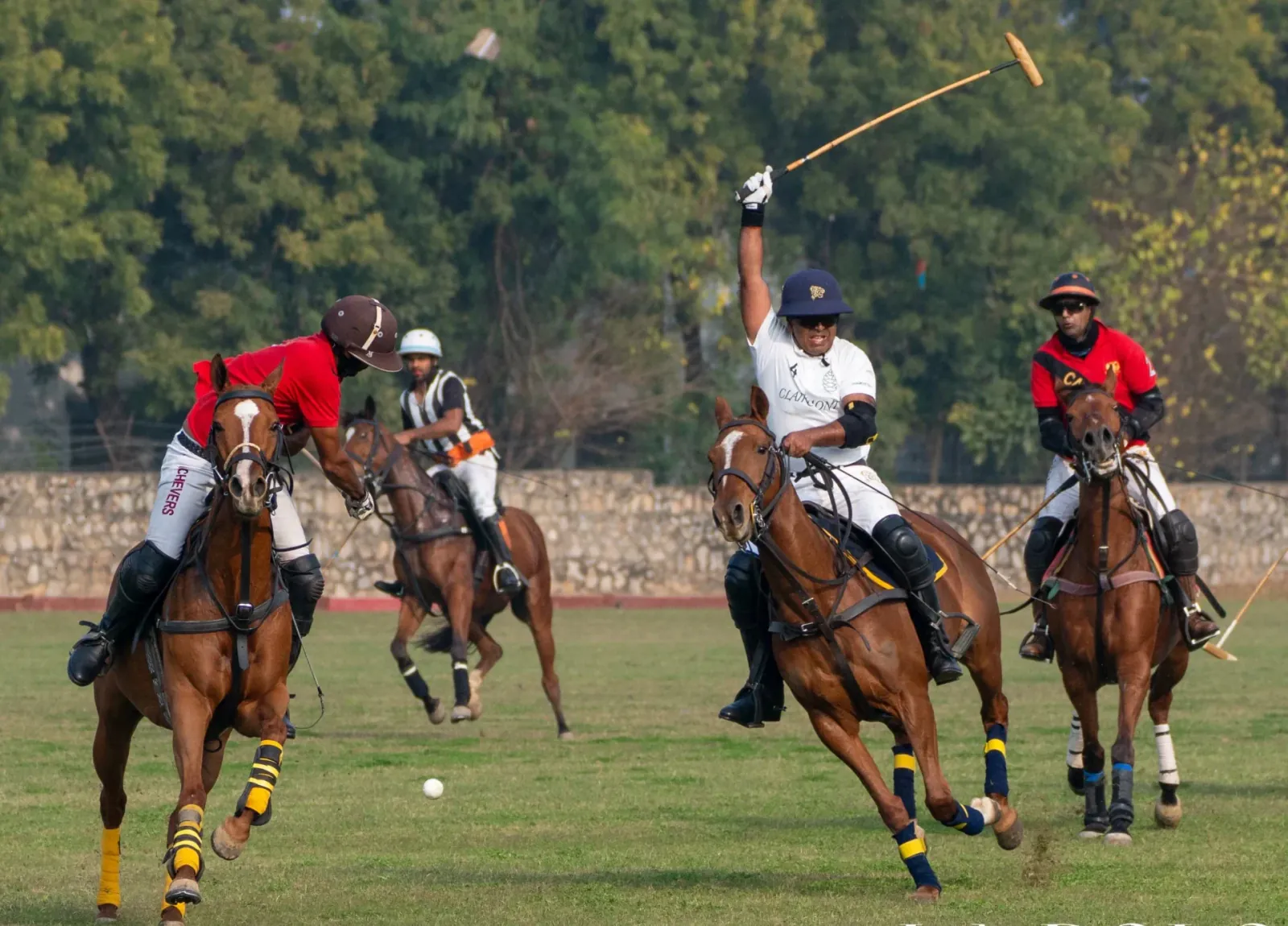 Brilliant performance of Jaipur Polo team will leave for UK Tour 2025 in July after winning 12 tournaments