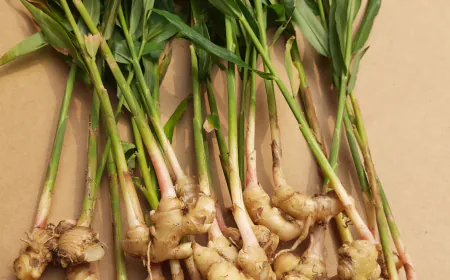 Ginger enhances the complexion of the skin, use it in 3 ways in summer