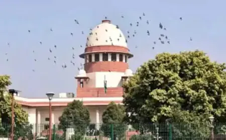 2023 students sought permission from SC to appear in JEE Advanced, court dismissed the petition