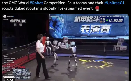 Robots exchanged punches and kicks, the world saw a robot boxing tournament for the first time