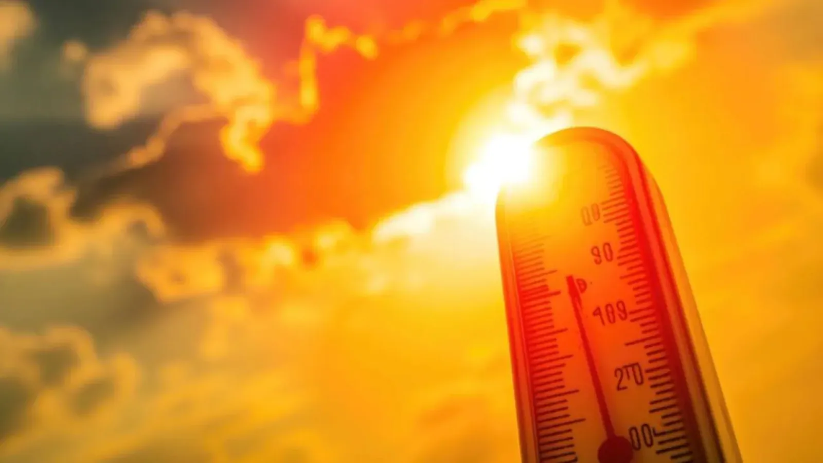 Rajasthan Weather Update: Temperature likely to rise in next 5 days, heat waves will prevail