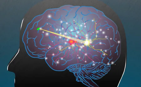Scientists Develop Rice-Sized Wireless Brain Implant That Transmits Signals Through Light